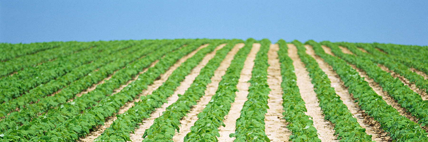 寄付金について