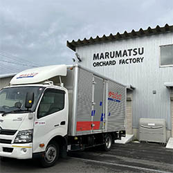 丸松青果その３